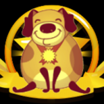 SHBT / Shiba toby