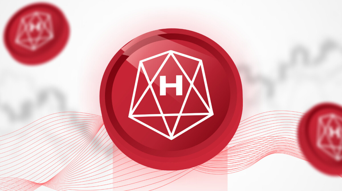 HO /HALO network