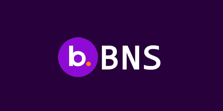  BNS /BNS Token 