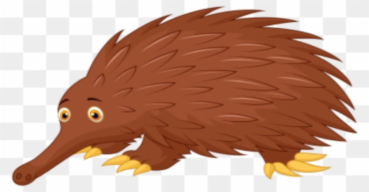  ECD /Echidna 