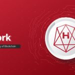HO /HALO network