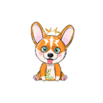 PEACE DOGE / Peace Doge