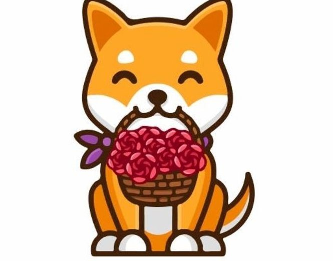 معلومات عن العمله الرقميه FDoge / FaithfulDoge