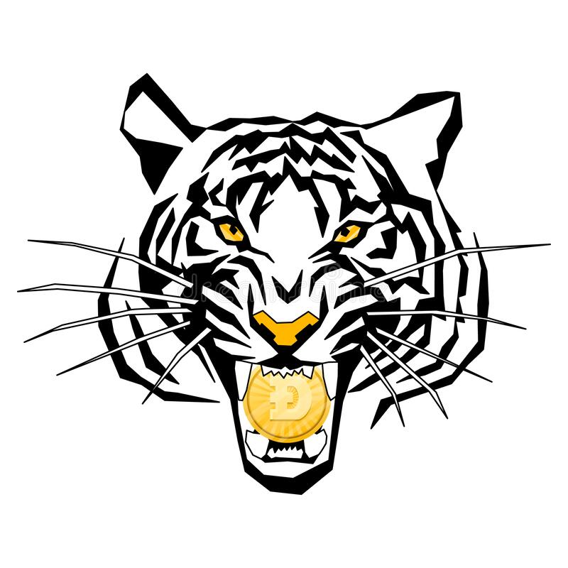 معلومات عن العمله الرقميه Tiger / Tiger shares