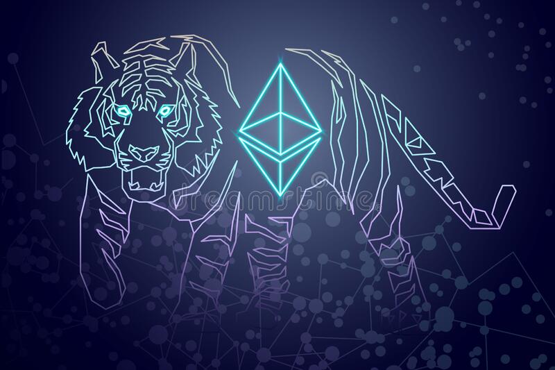 معلومات عن العمله الرقميه Tiger / Tiger shares