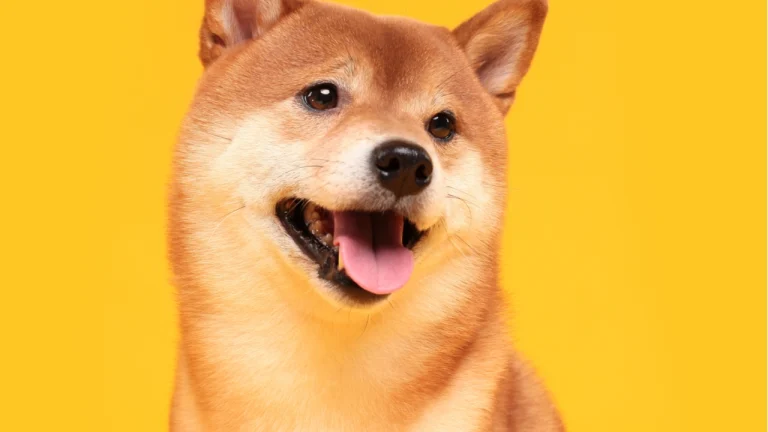 Shiba Inu تقدم SHIB Metaverse مع أكثر من 100 ألف قطعة أرض
