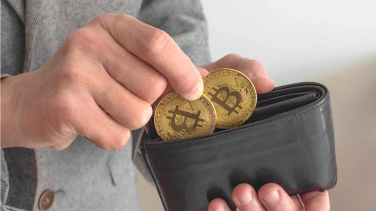 يقترح المصرفيون الروس تجريم تخزين العملات المشفرة في المحافظ غير الخاضعة للوصاية