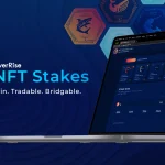 يقدم بروتوكول EverRise DeFi أداة مساعدة جديدة