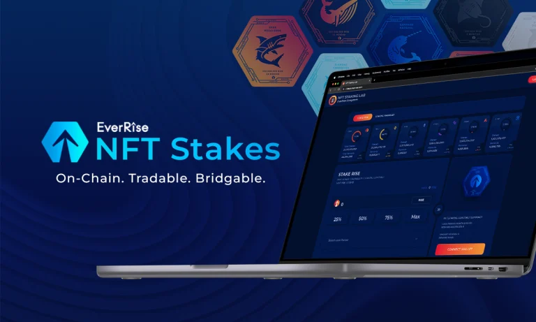 يقدم بروتوكول EverRise DeFi أداة مساعدة جديدة