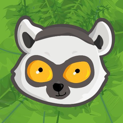 معلومات عن العمله الرقميه LEM / Lemur Finance