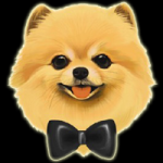POMI / Pomicoin