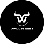 معلومات عن العمله الرقميه WSF / WallStreet Finance