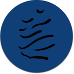 معلومات عن العمله الرقميه MSTO / Millennium Sapphire