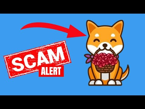 معلومات عن العمله الرقميه FDoge / FaithfulDoge