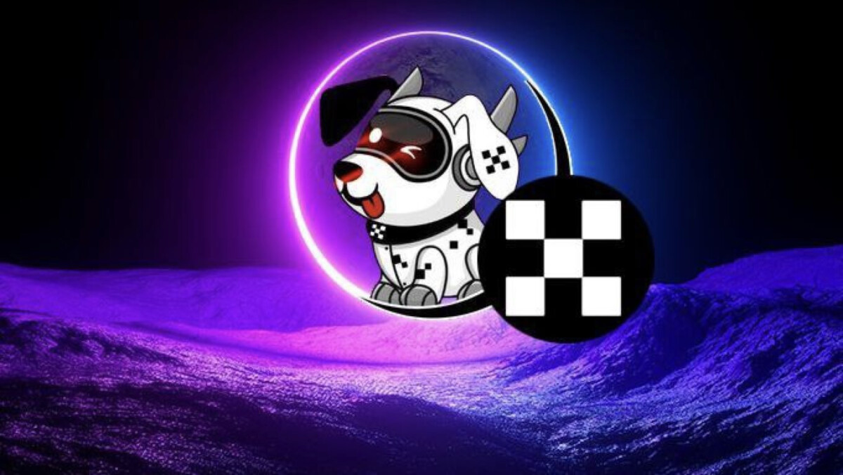 معلومات عن العمله الرقميه BABYOKX / BABYOKX معلومات عن العمله الرقميه BABYOKX / BABYOKX
