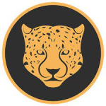 معلومات عن العمله الرقميه KATS / Kitty Kat Coin