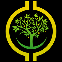 Rwn معلومات عن العمله الرقميه RWN / Rowan Token