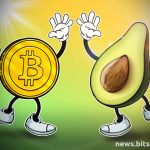 معلومات عن العمله الرقميه AVO / Avocado