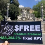 أصبح بروتوكول Freedom هو المشروع الذي يحتوي على أكبر كمية من IDO في بيئة سلسلة Binance الذكية