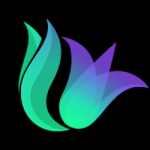 LILY / Solily Protocol