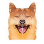 DUKE / DUKE INU TOKEN