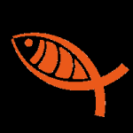 SASHIMI / Sashimi