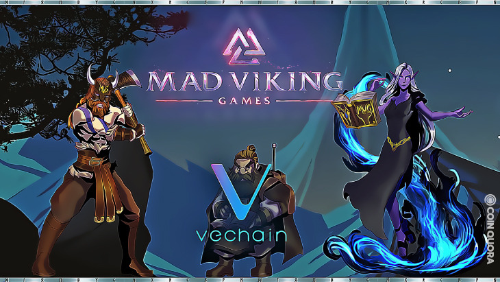 MVG / Mad Viking Games