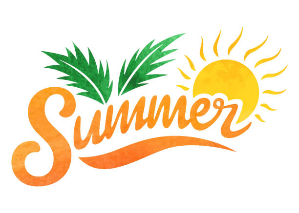 SUMMER / Summer