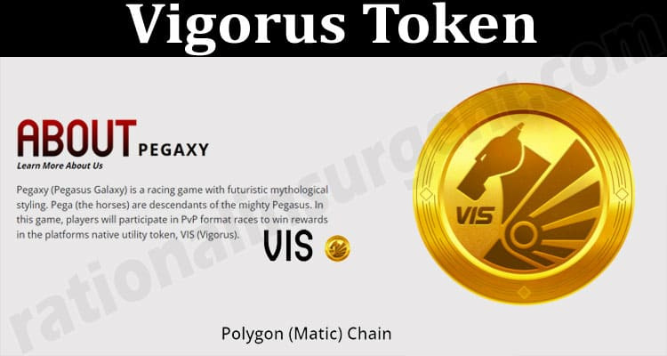 VIS / Vigorus