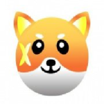 X / X Doge