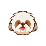 SHIH / Shih Tzu