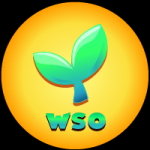 WSO / Widi Soul