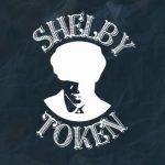 معلومات عن العمله الرقميه TSY / TOKEN SHELBY