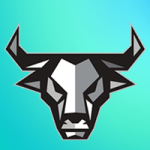 BANKERS / BullBankers