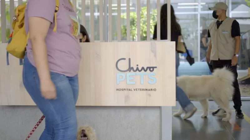هل ستعطي الييتكوين ثمارها في البيتكوين ؟