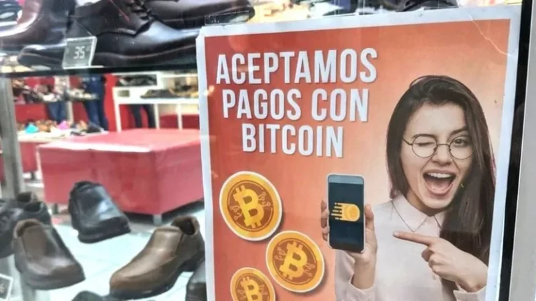هل ستعطي الييتكوين ثمارها في البيتكوين ؟