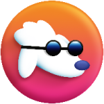 معلومات عن العمله الرقميه POODL / Poodl Token