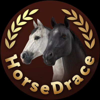 HORSEDRACE / HorseDrace
