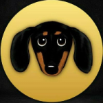 DSD / Dachshund