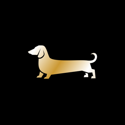 DSD / Dachshund