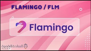 FLM / Flamingo العملة الرقمية