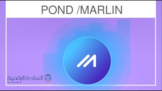 Marlin  / POND  العملة الرقمية