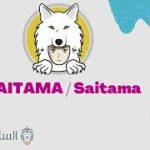 SAITAMA/Saitama العملة الرقمية