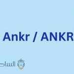 ANKR/ANKR العملة الرقمية