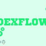 DEXFLOW / DEXFLOW العملة الرقمية