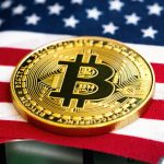 يعتقد الأمريكيين أن الاستثمار في العملات الرقمية محفوف بالمخاطر