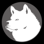 HACHI / Akita DAO