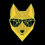 DINGO / DINGO TOKEN (new)