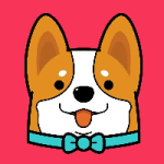 KAKI / Doge KaKi