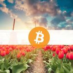 أكثر دول أوروبا فضولاً بشأن العملات المشفرة